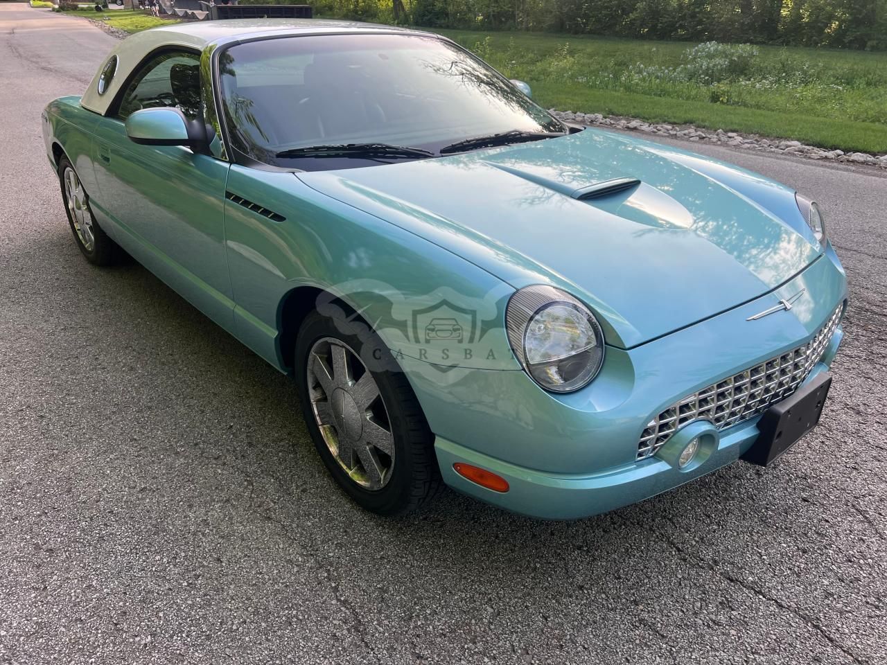 Ford Thunderbird 3.9L 8 2002
