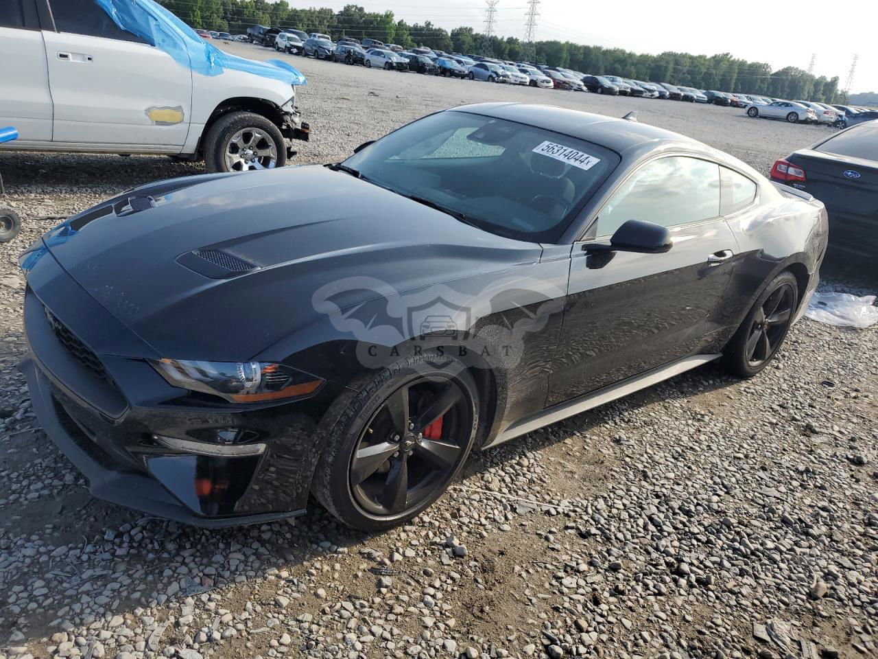 Ford Mustang 2.3L  4 2023