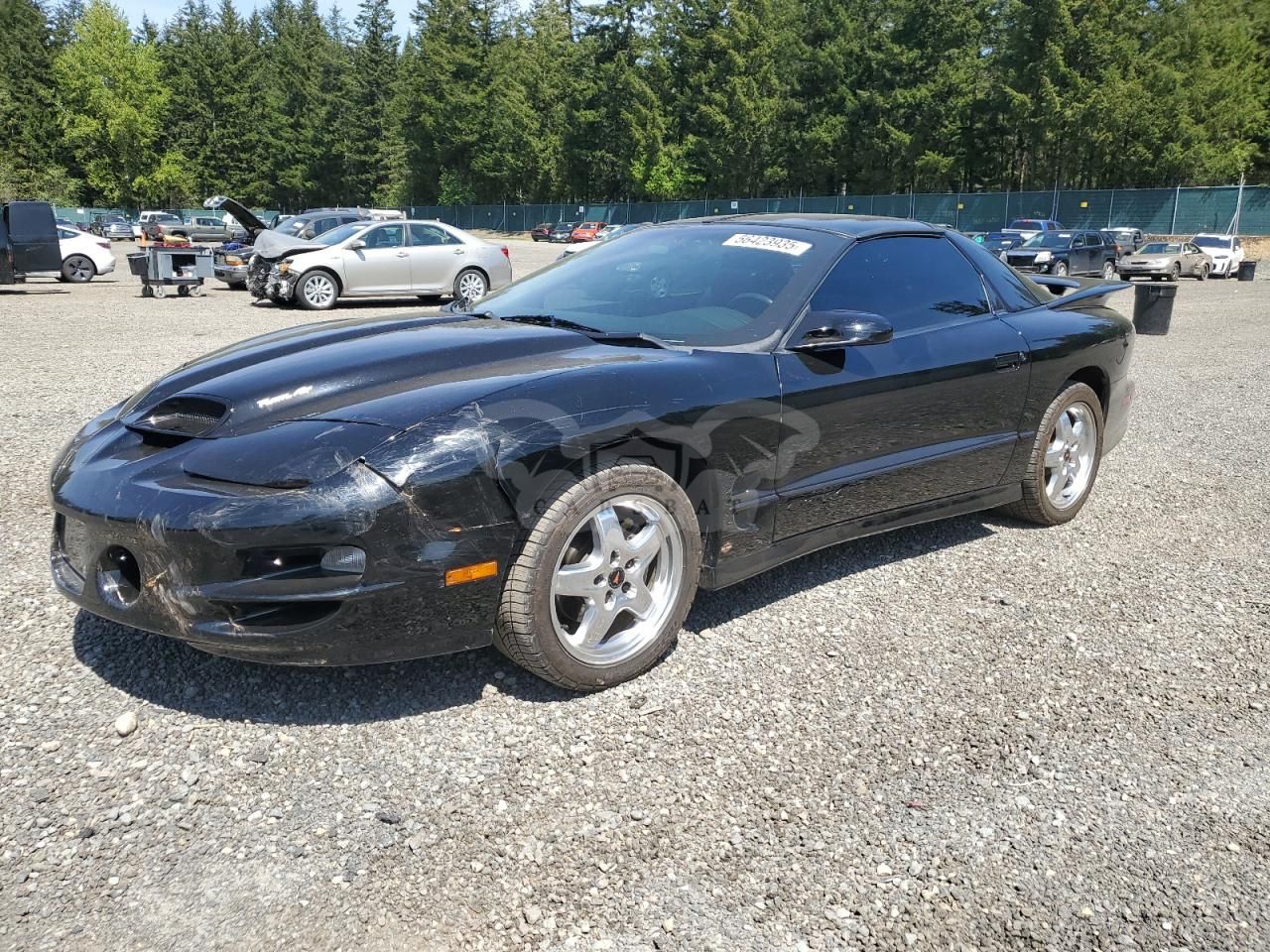 Pontiac Firebird FORMULA 5.7L 8 2002