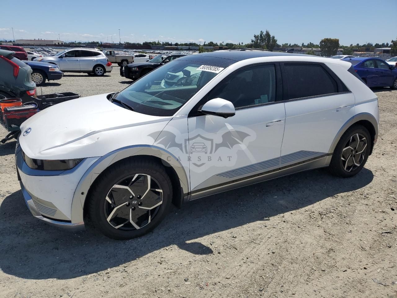 Hyundai IONIQ LIMITED 2024