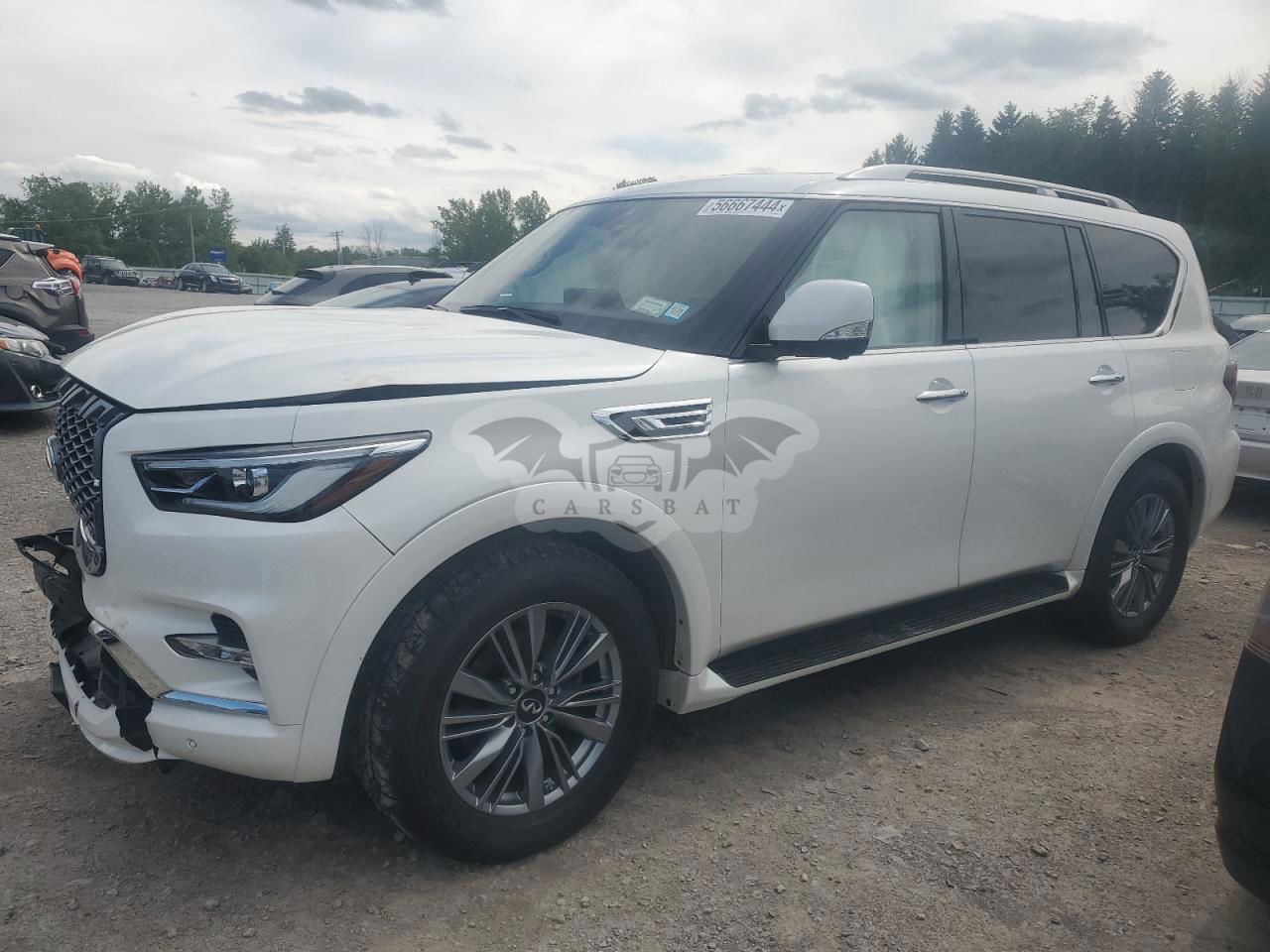 Infiniti QX80 2022