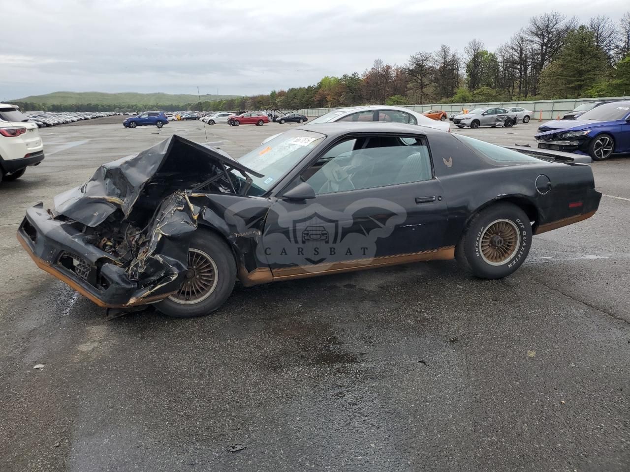 Pontiac Firebird TRANS AM 5.0L 8 1983