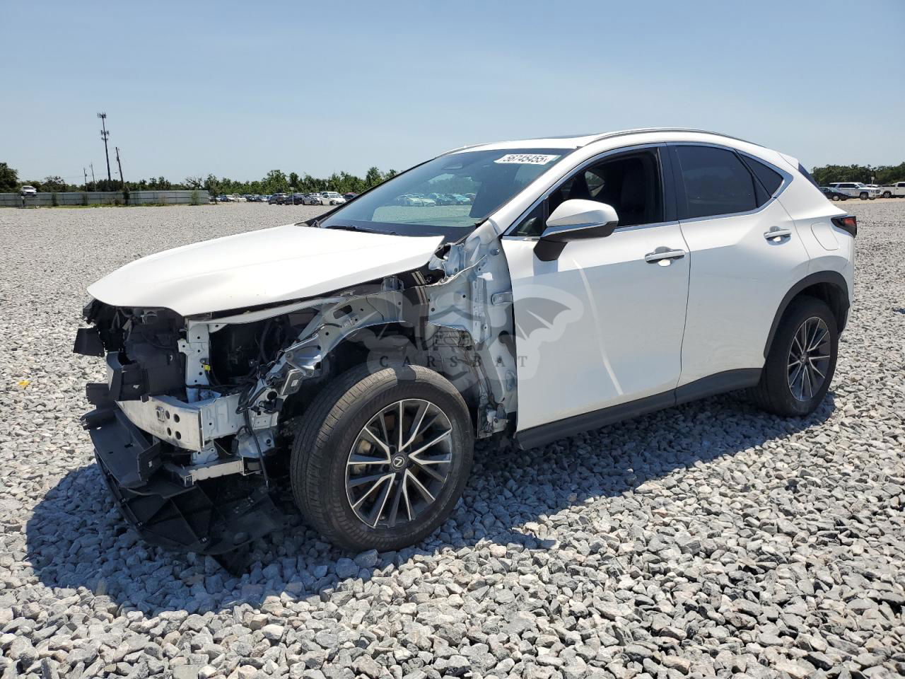 Lexus NX 350 2.4L  4 2022