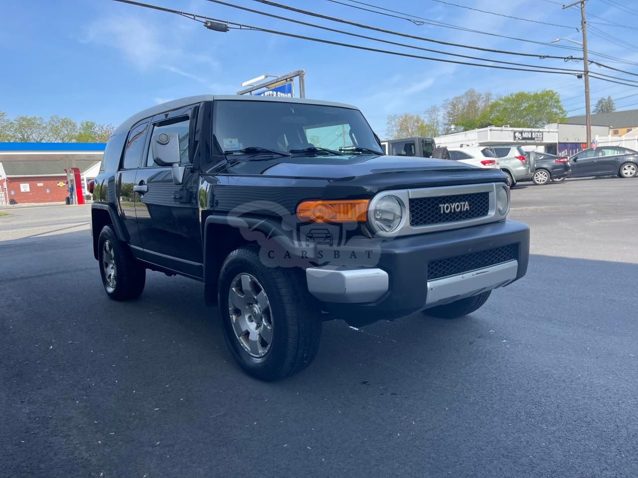 Toyota FJ Cruiser 4.0L 6 2008