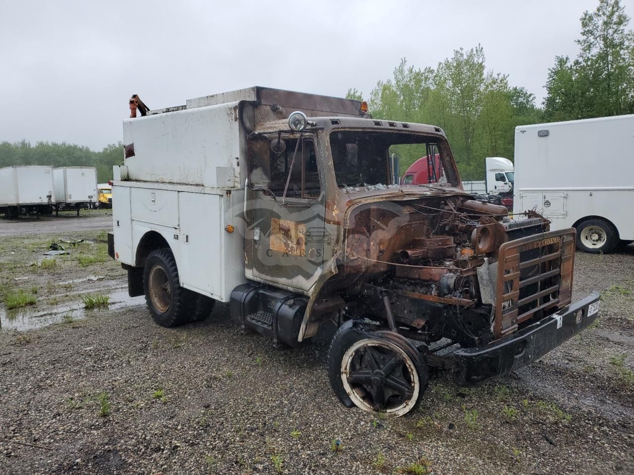 International S-Series 1654 8 1984