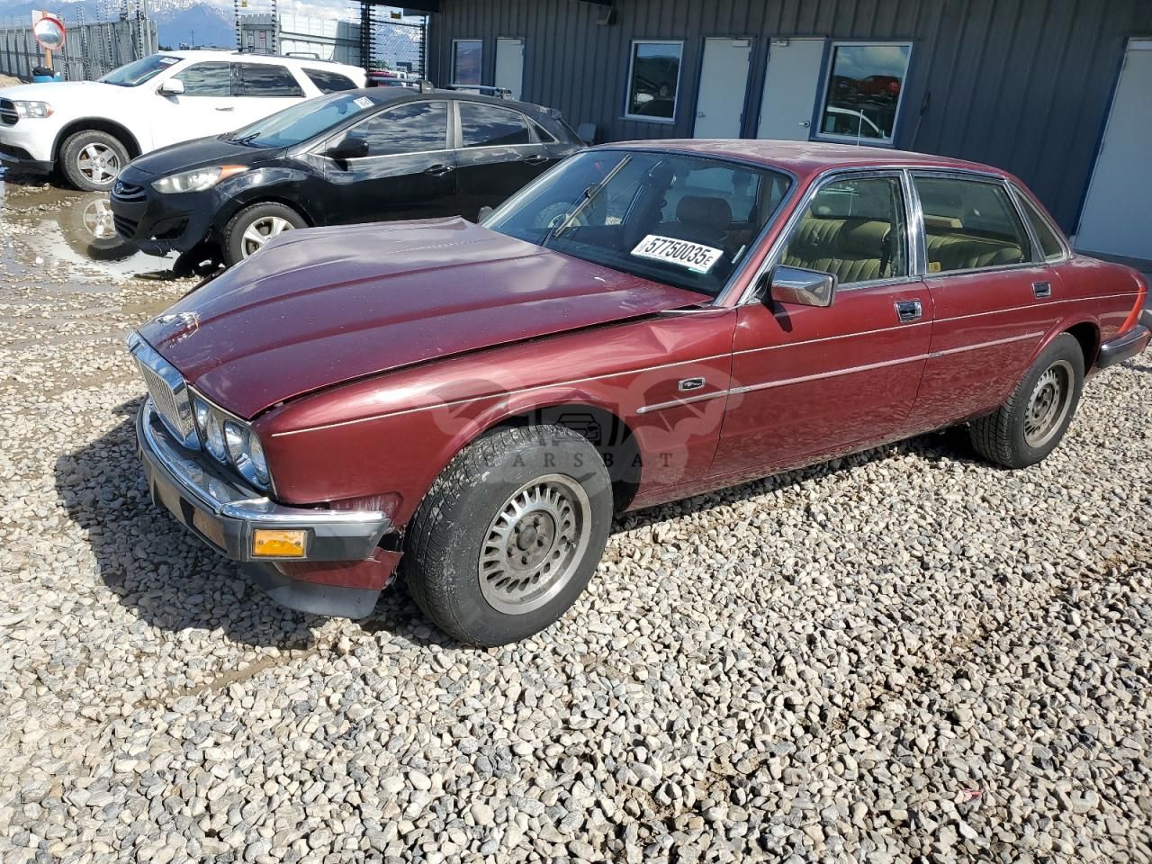 Jaguar XJ 3.6L 6 1988