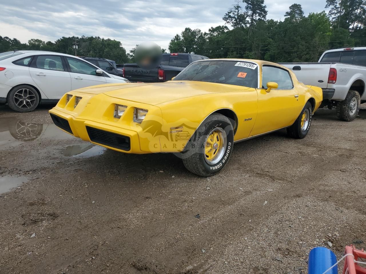 Pontiac Firebird ESPRIT 4.3L 8 1981
