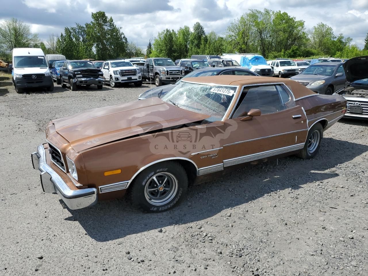 Ford Torino 1973