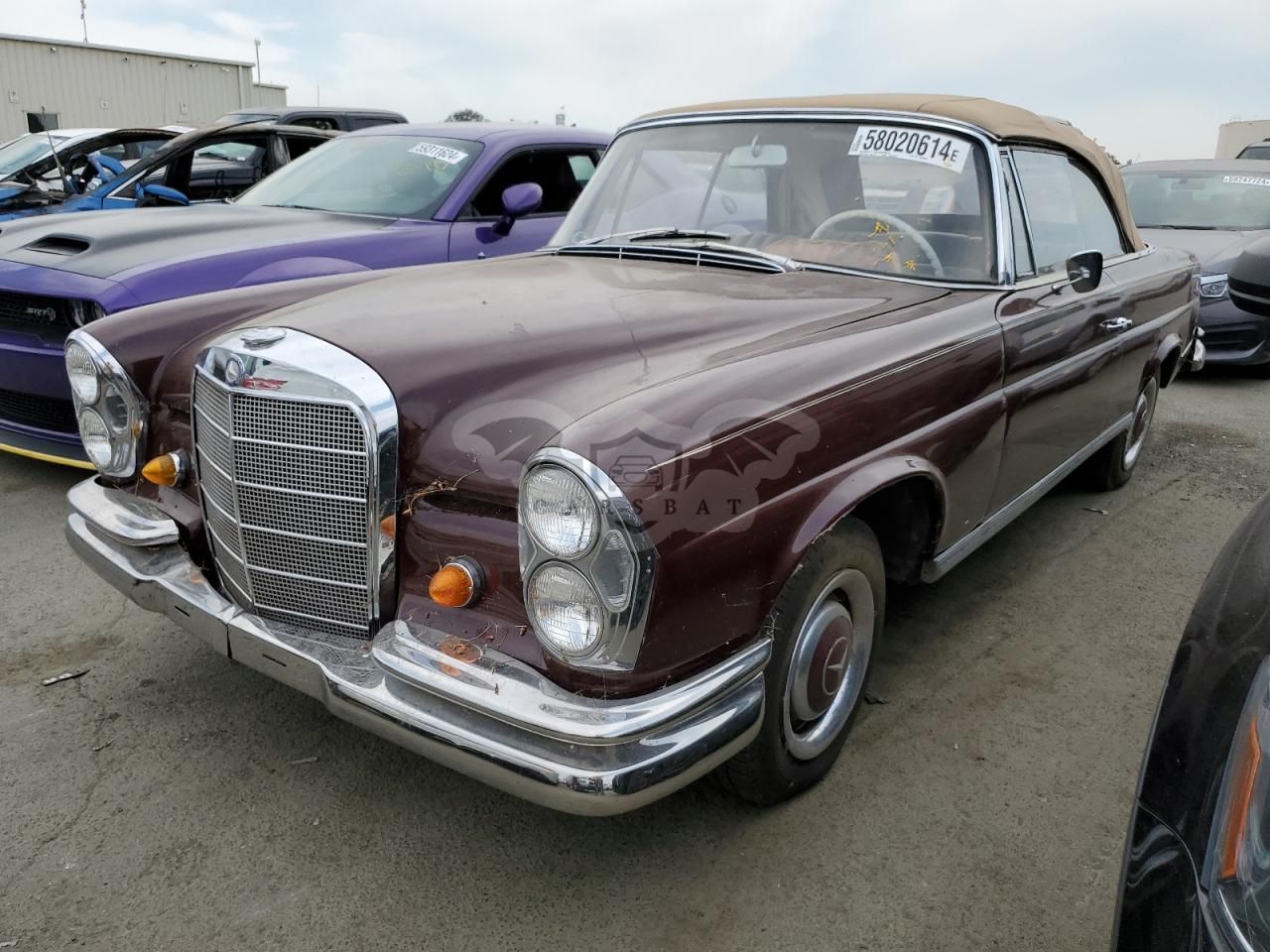 Mercedes-Benz 220 1964