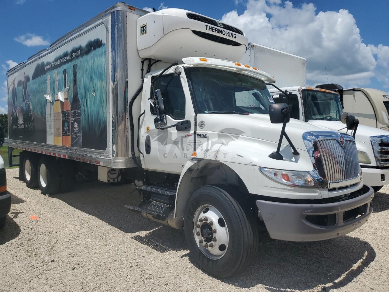 International MV Series 8.9L 6 2022