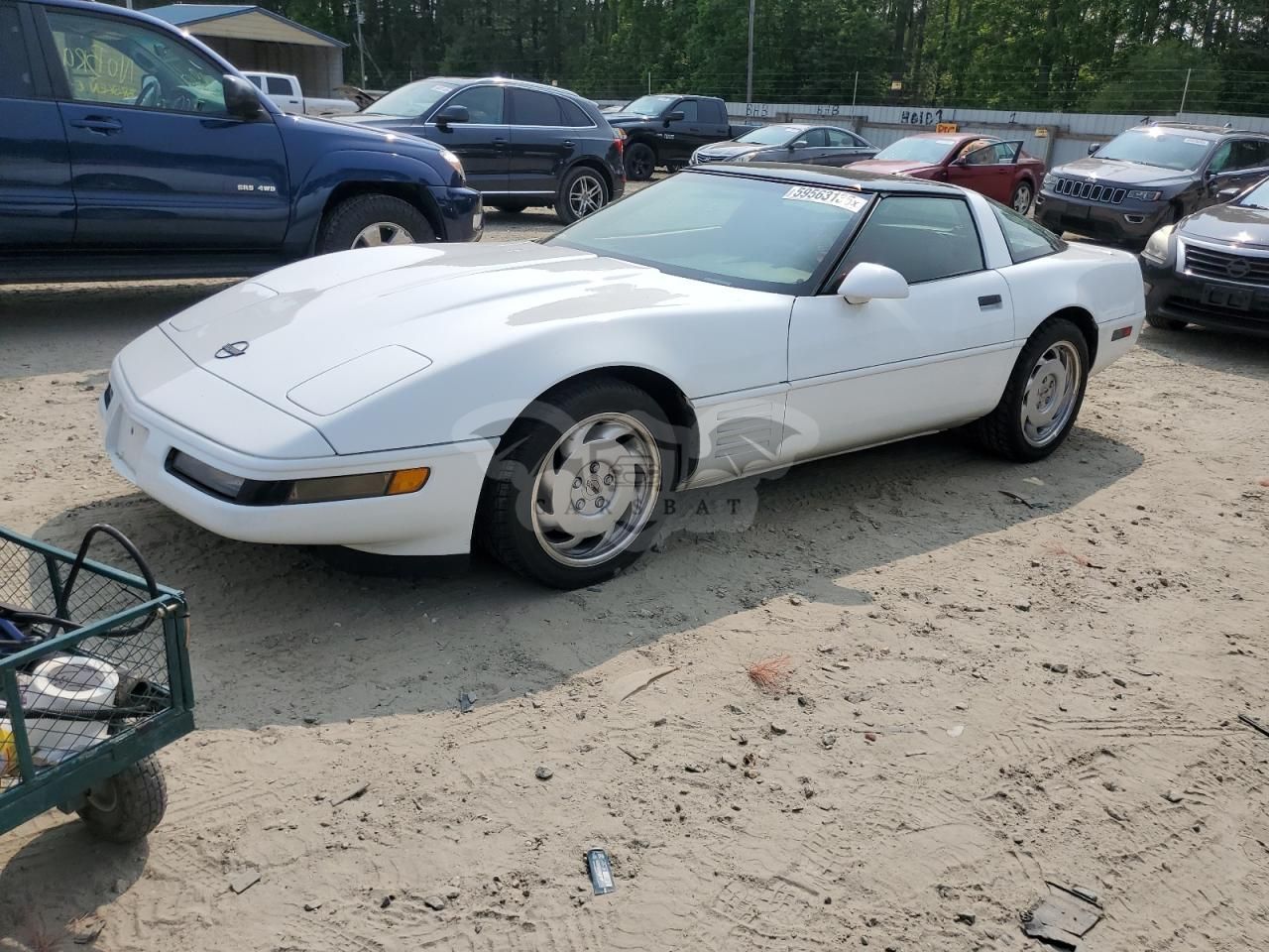 Chevrolet Corvette 5.7L 8 1991