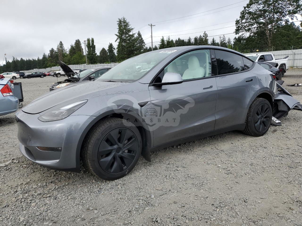 Tesla Model Y 2024