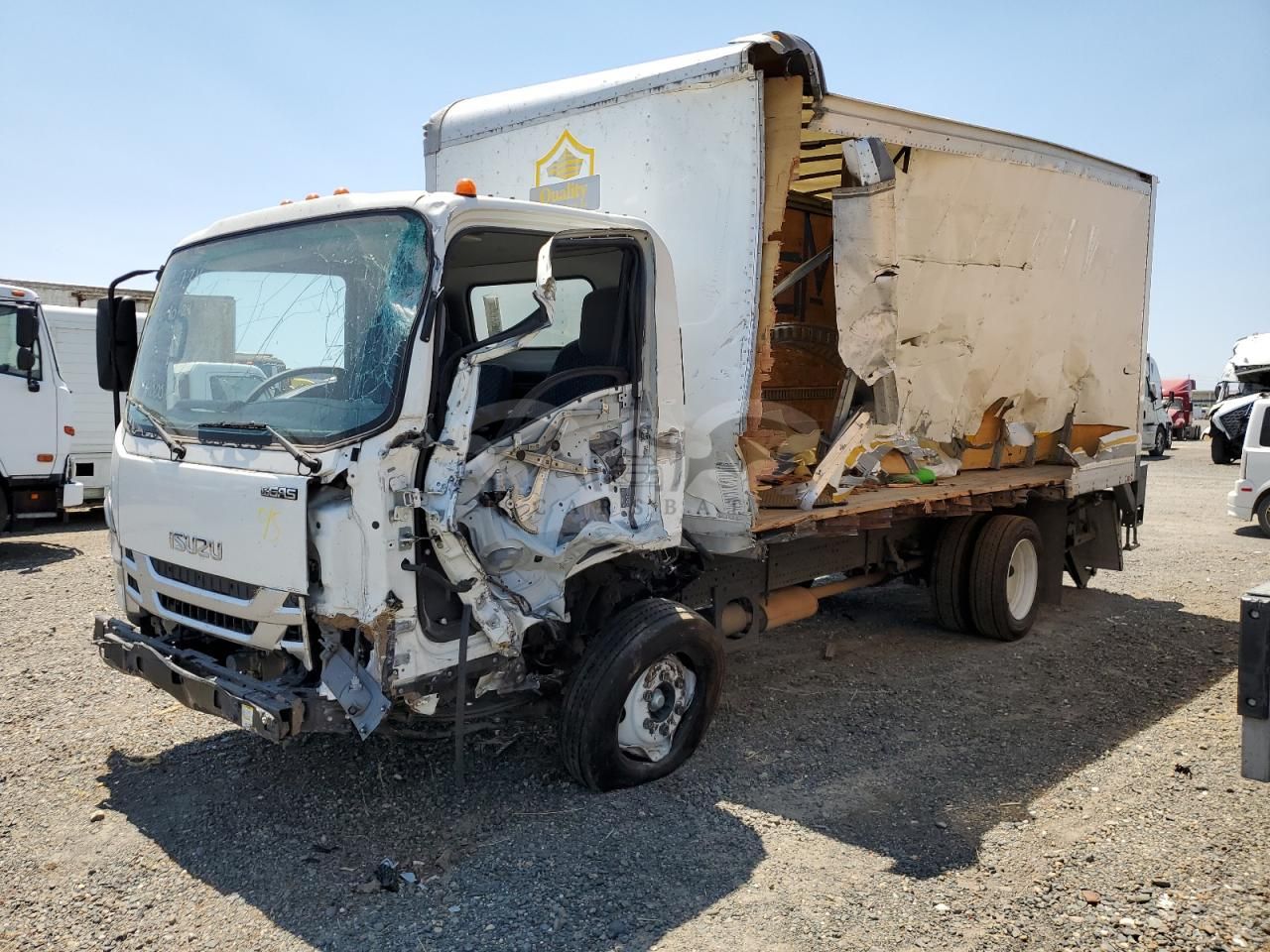 Isuzu NPR 6.6L 8 2024