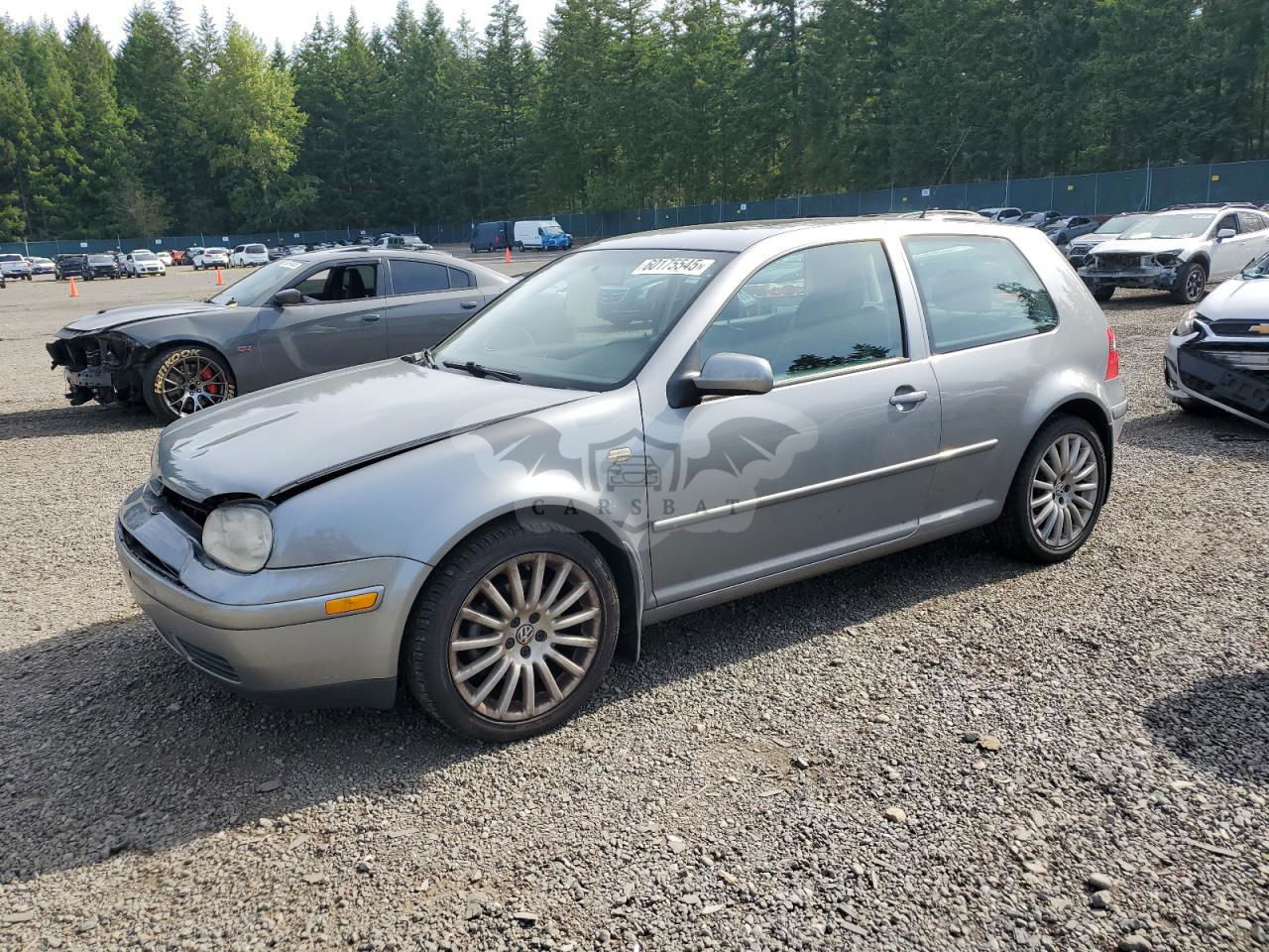 Volkswagen Golf 1.8L  4 2004
