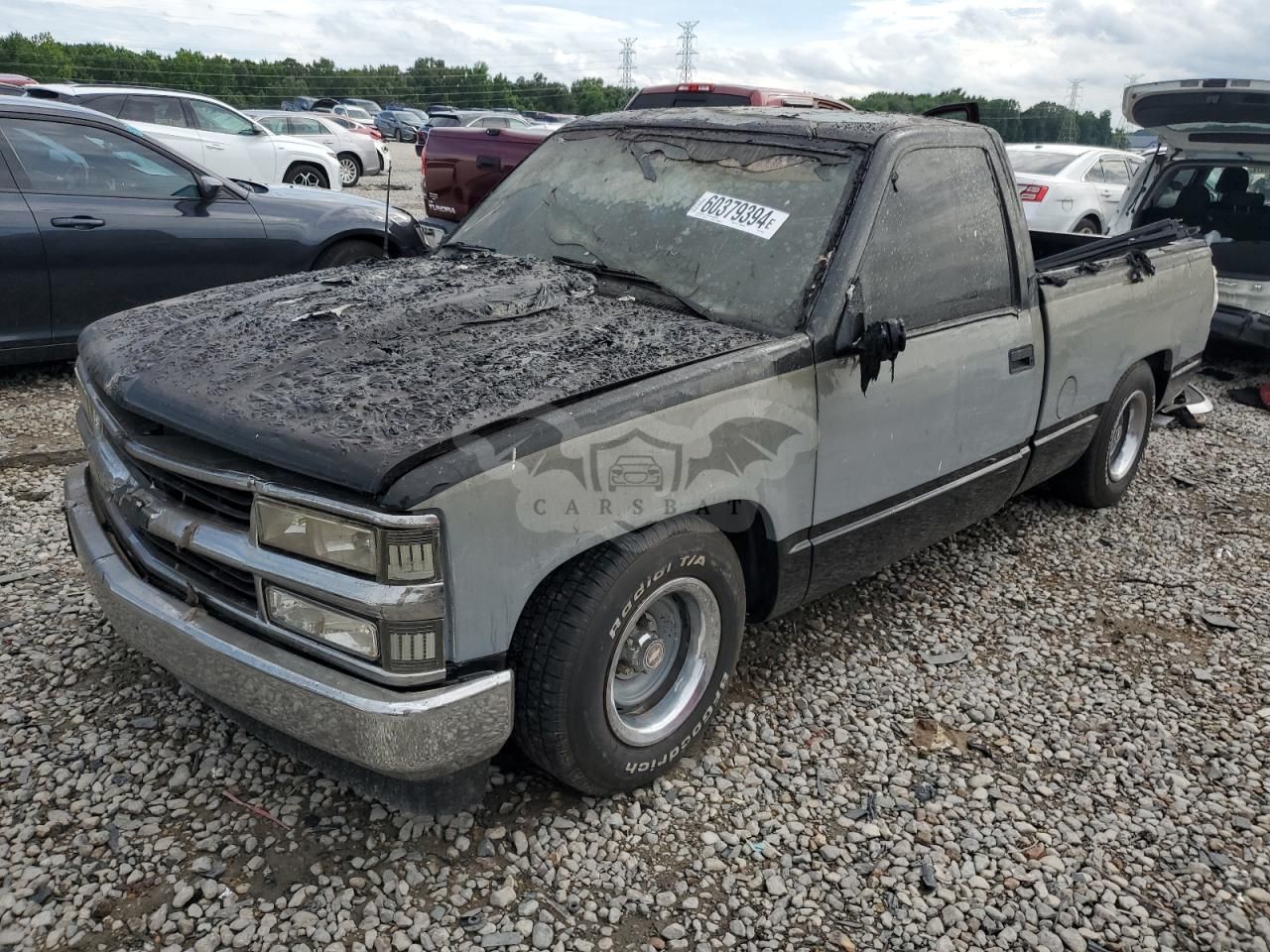 Chevrolet C/K 1500 C1500 5.0L 8 1989