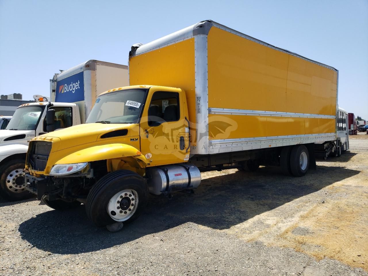 International MV Series 6.7L 6 2022