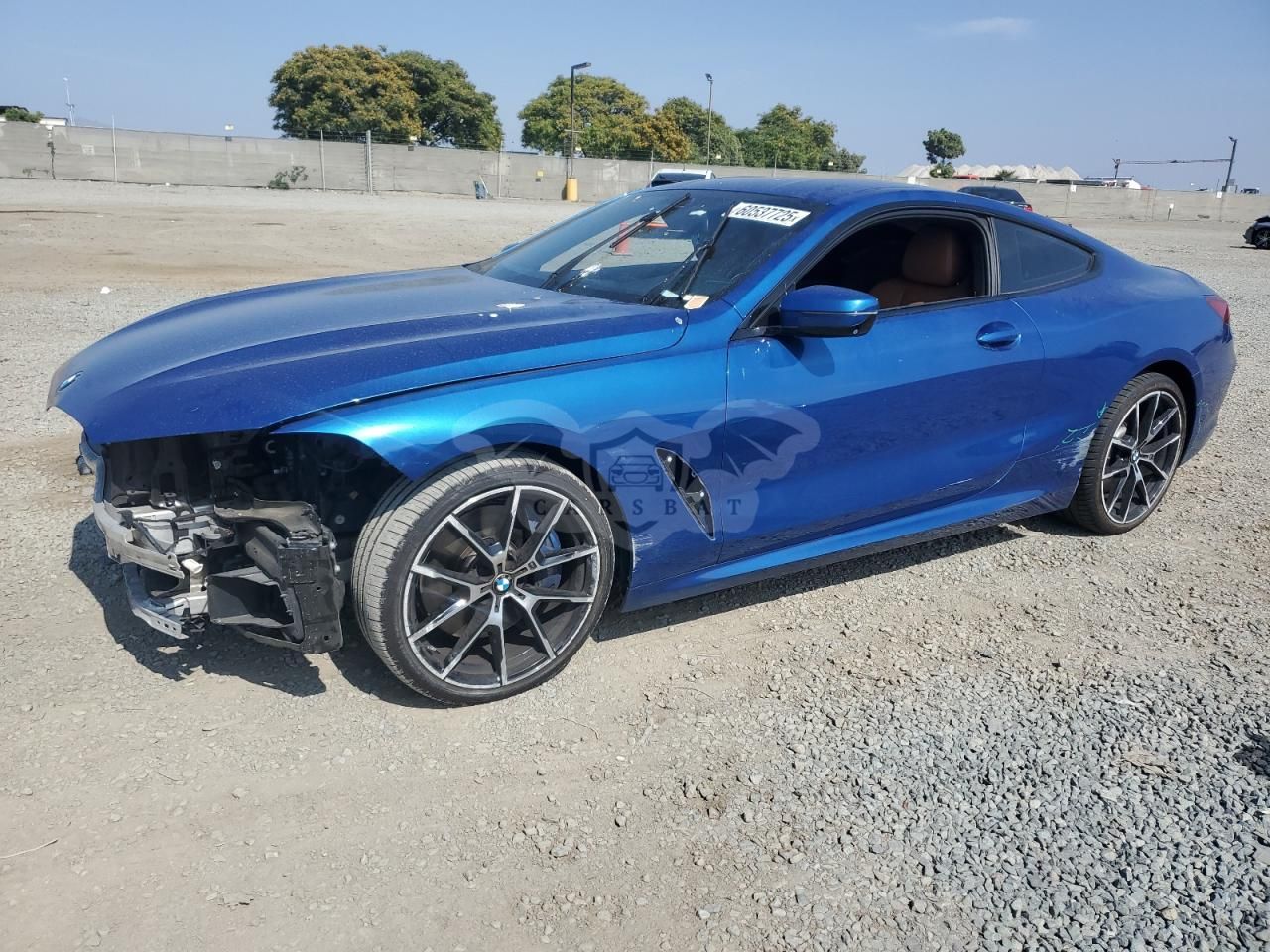 BMW 8 Series 3.0L 6 2020