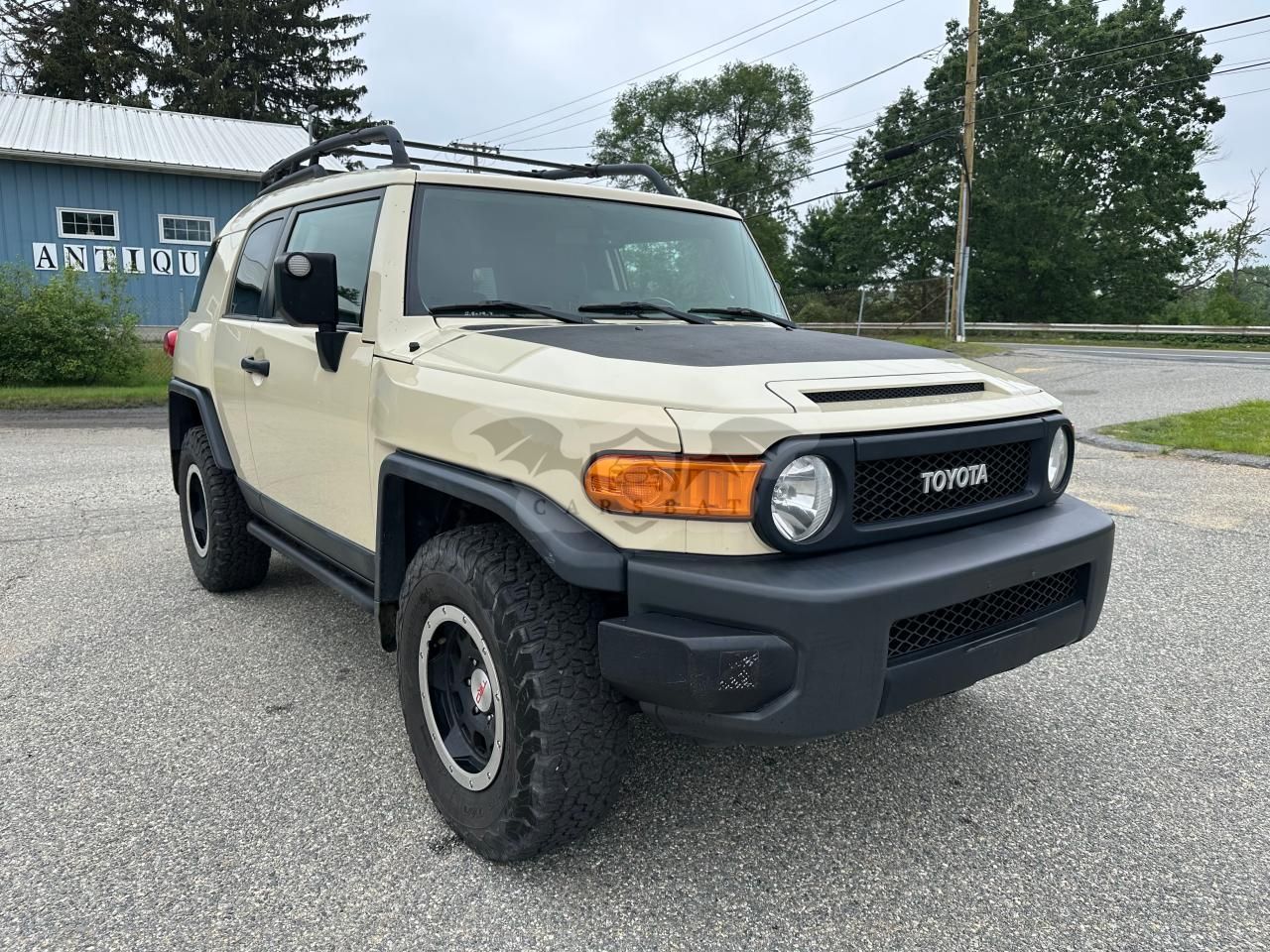 Toyota FJ Cruiser 4.0L 6 2010