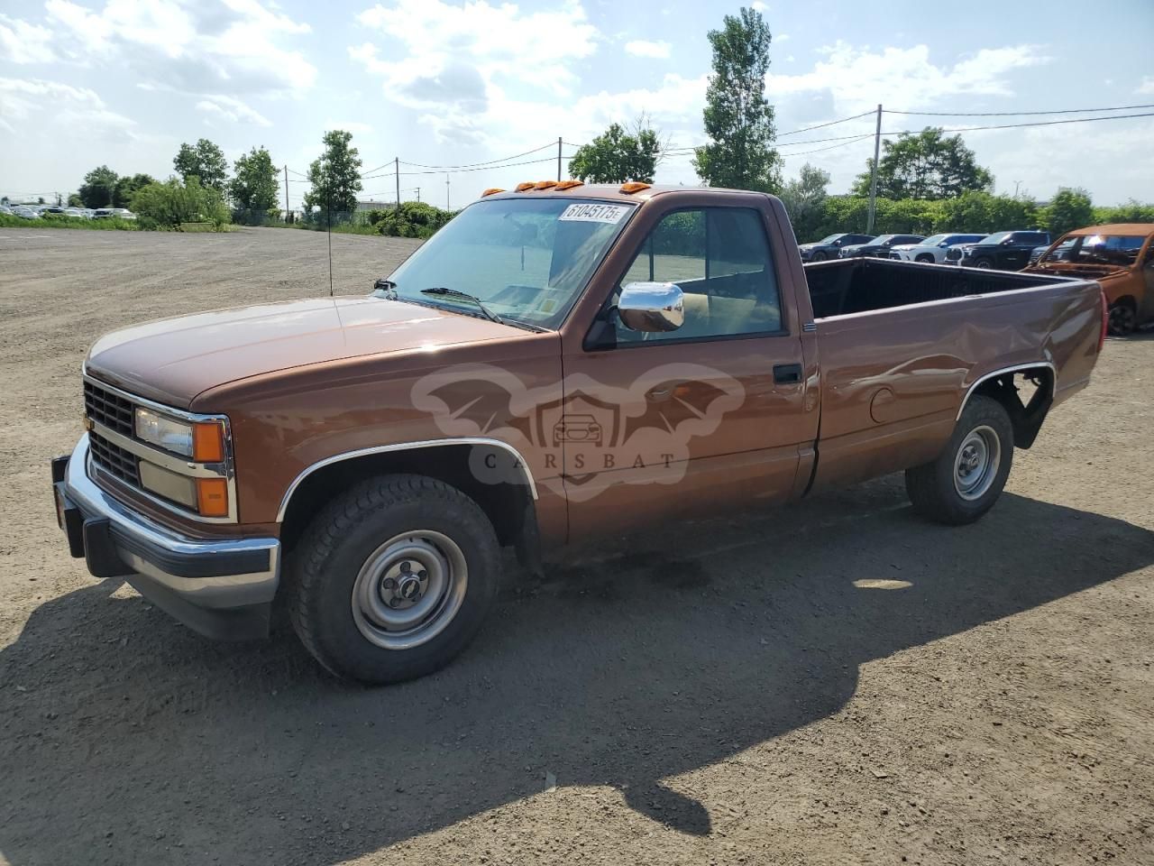 Chevrolet C/K 1500 C1500 5.0L 8 1990