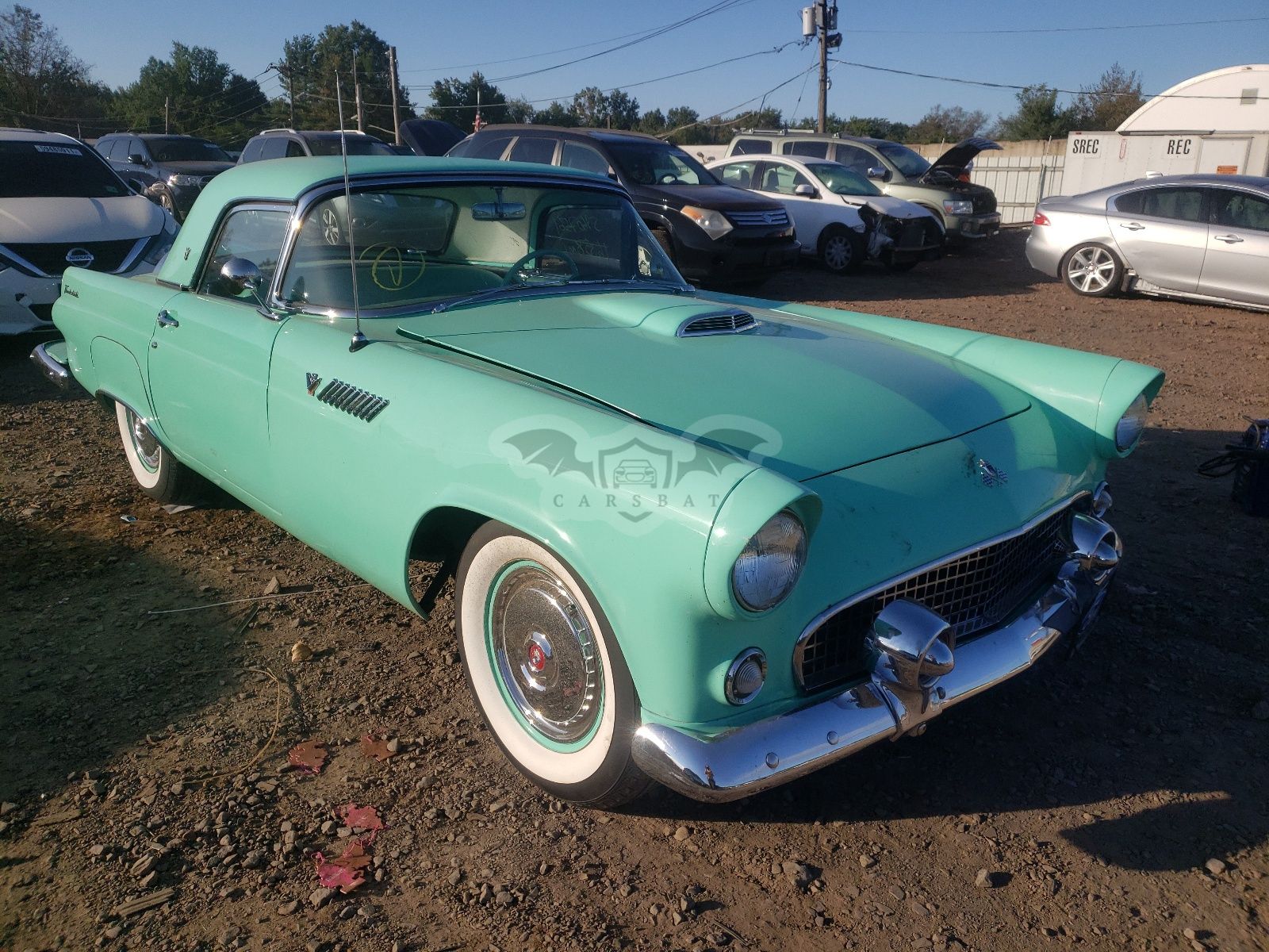 Ford Thunderbird 1955