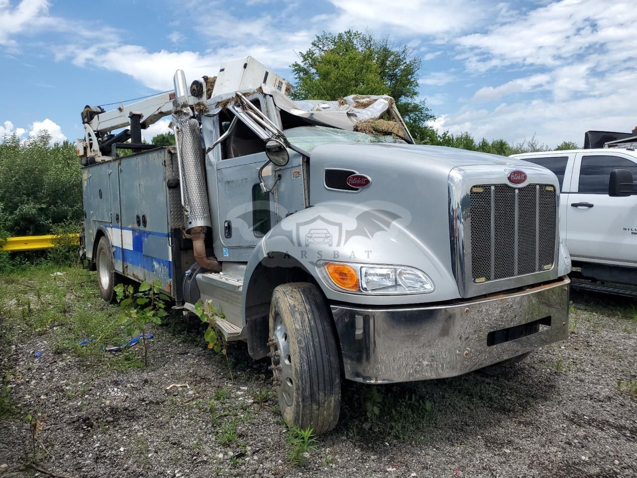 Peterbilt 330/337/348 8.9L 6 2015