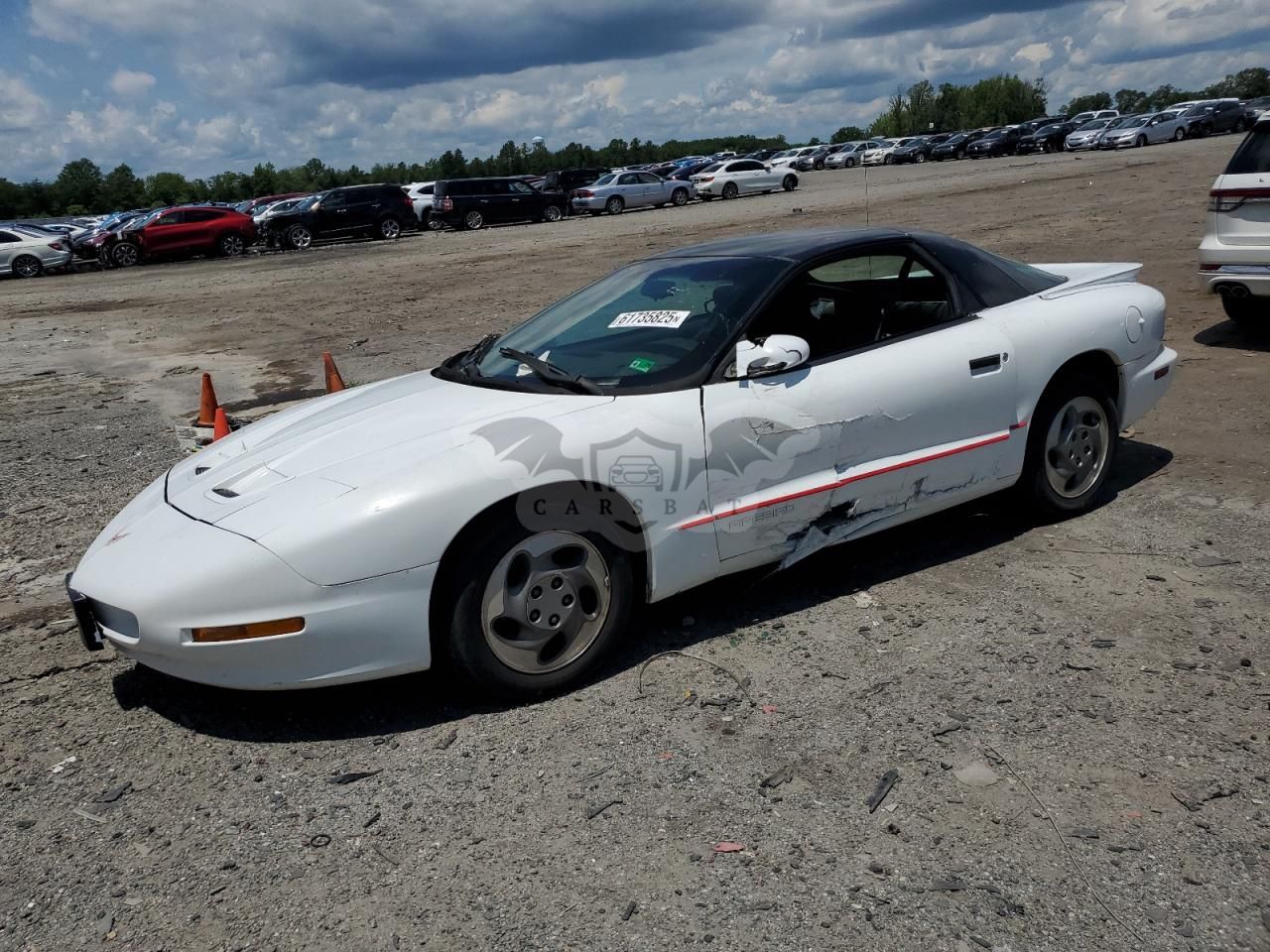 Pontiac Firebird 3.4L 6 1994