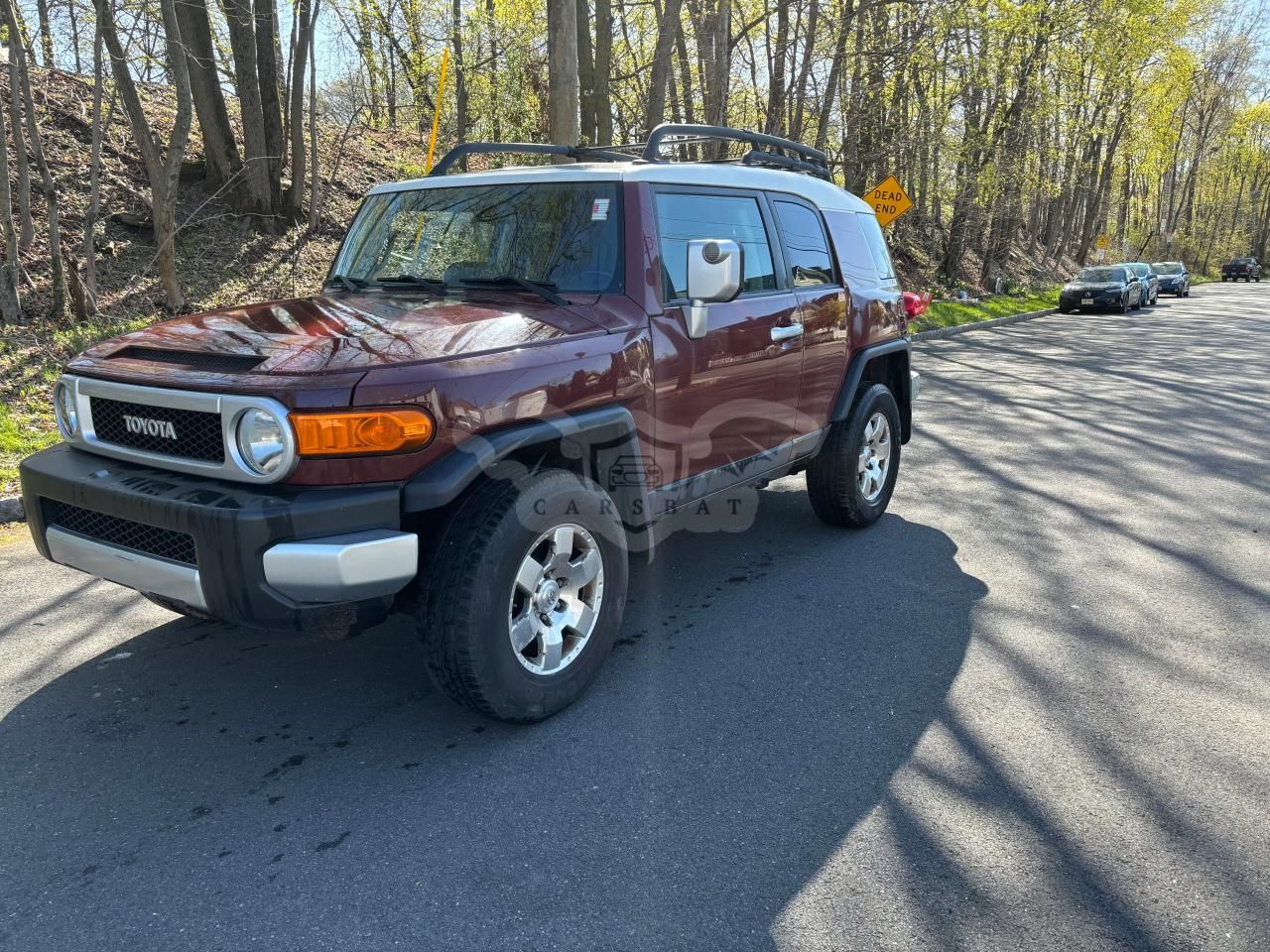 Toyota FJ Cruiser 4.0L 6 2010