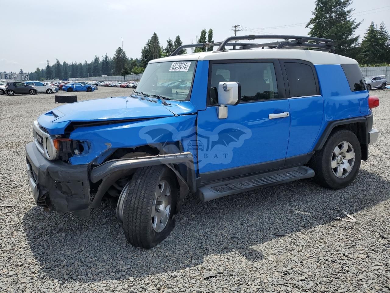 Toyota FJ Cruiser 4.0L 6 2007