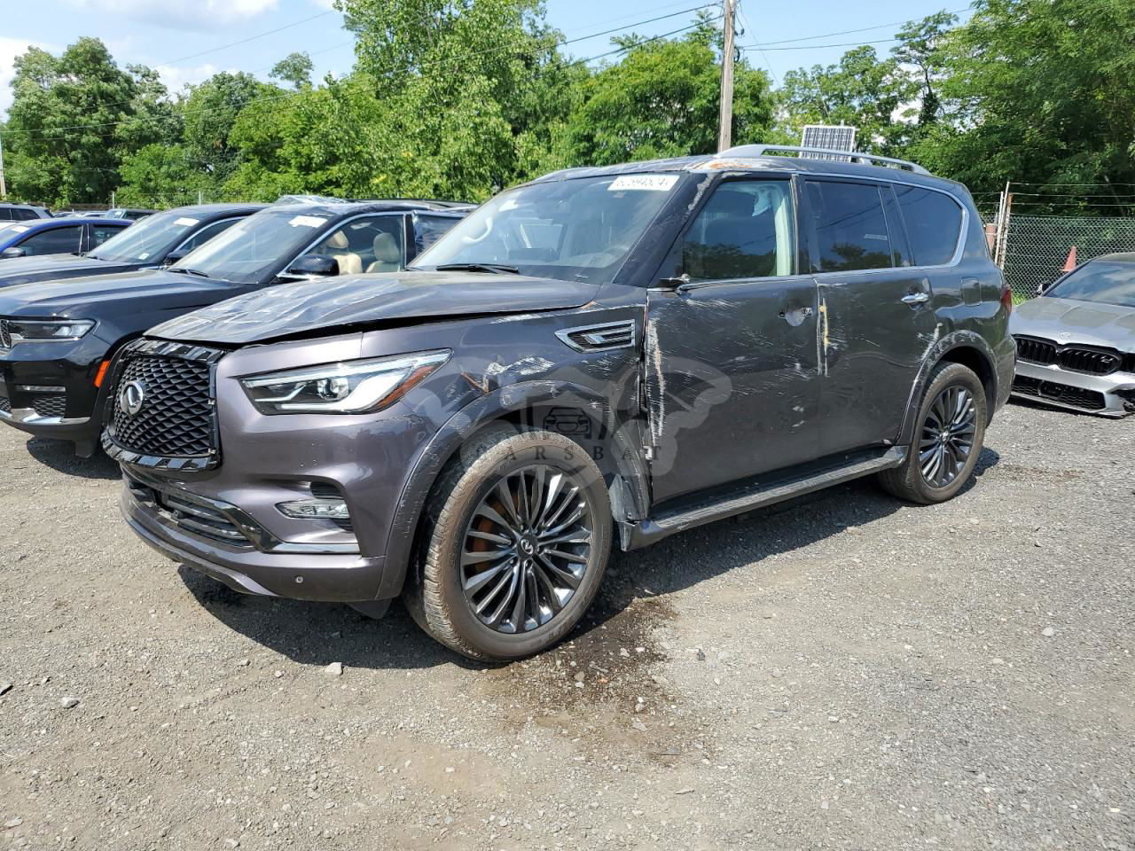 Infiniti QX80 2022