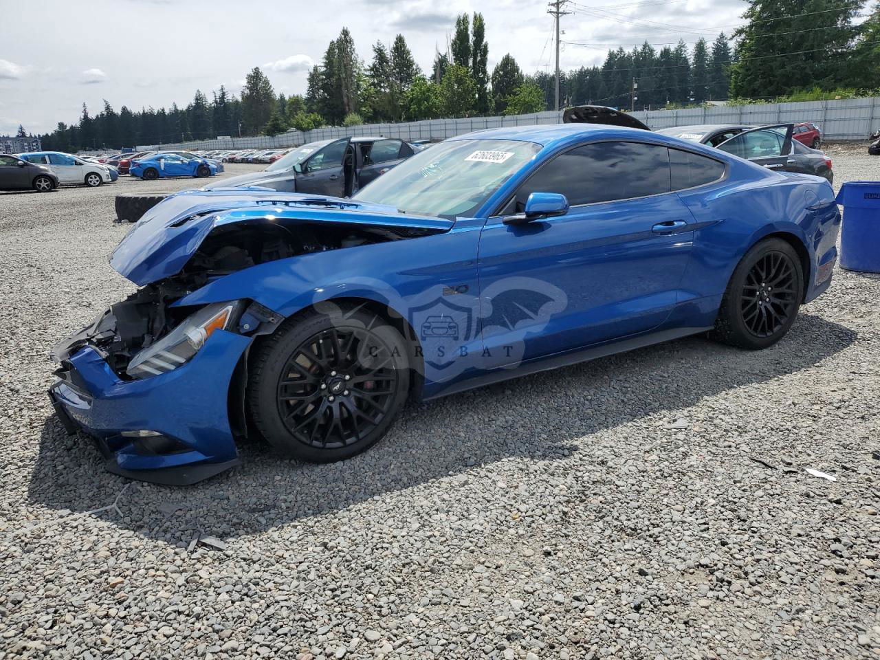 Ford Mustang GT 5.0L  8 2017