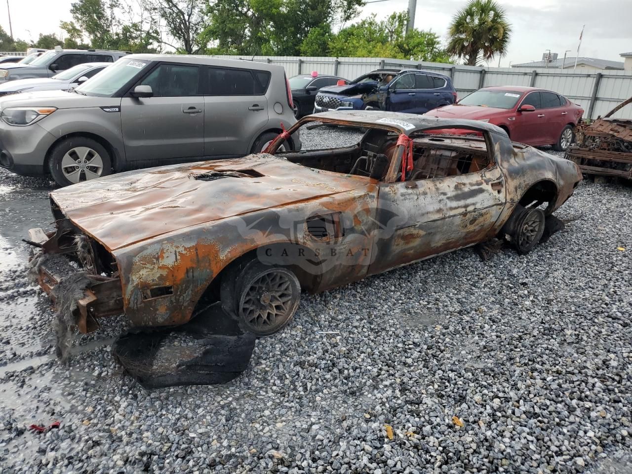 Pontiac Trans Am 1977