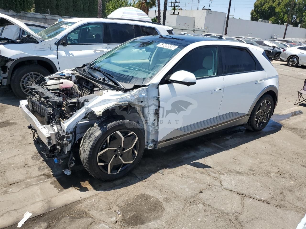 Hyundai IONIQ LIMITED 2024