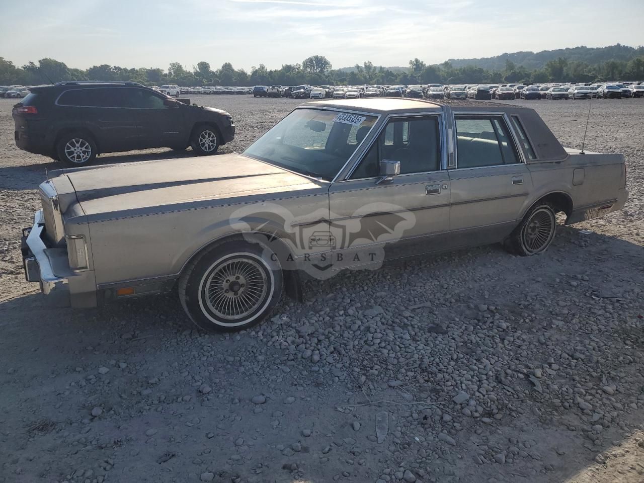 Lincoln Town Car SIGNATURE 5.0L 8 1988