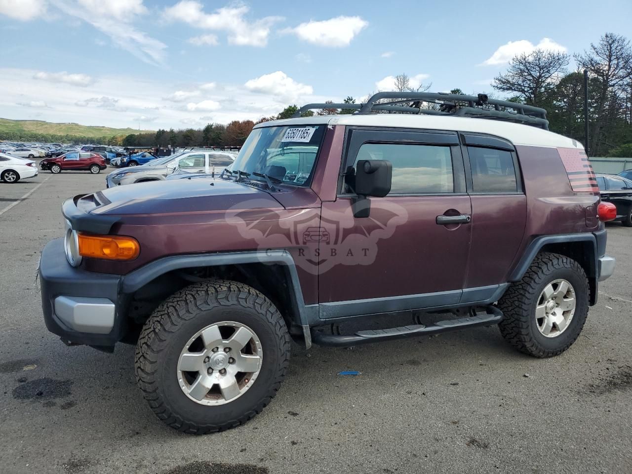 Toyota FJ Cruiser 4.0L 6 2007