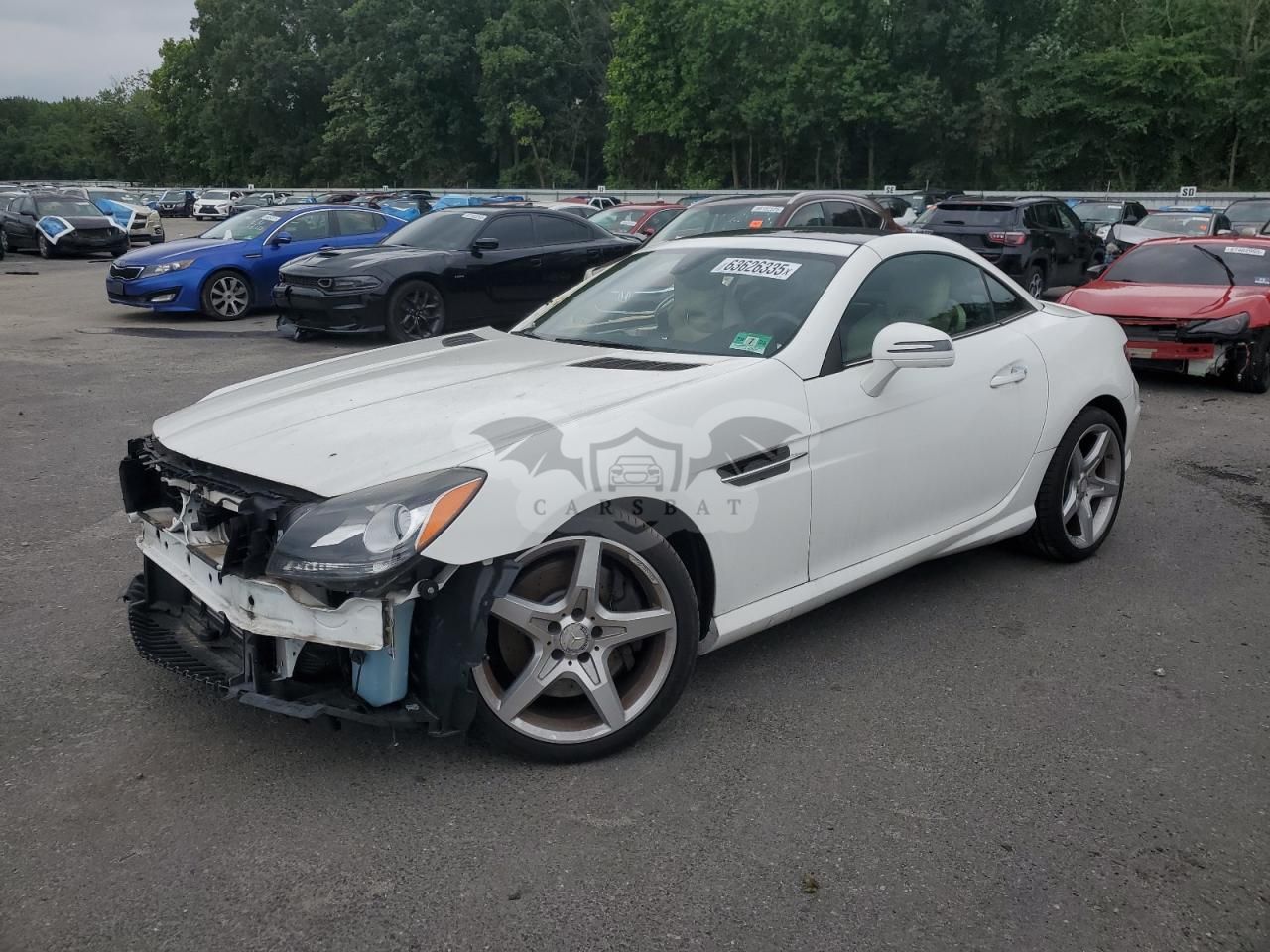 Mercedes-Benz SLK 250 1.8L 4 2014