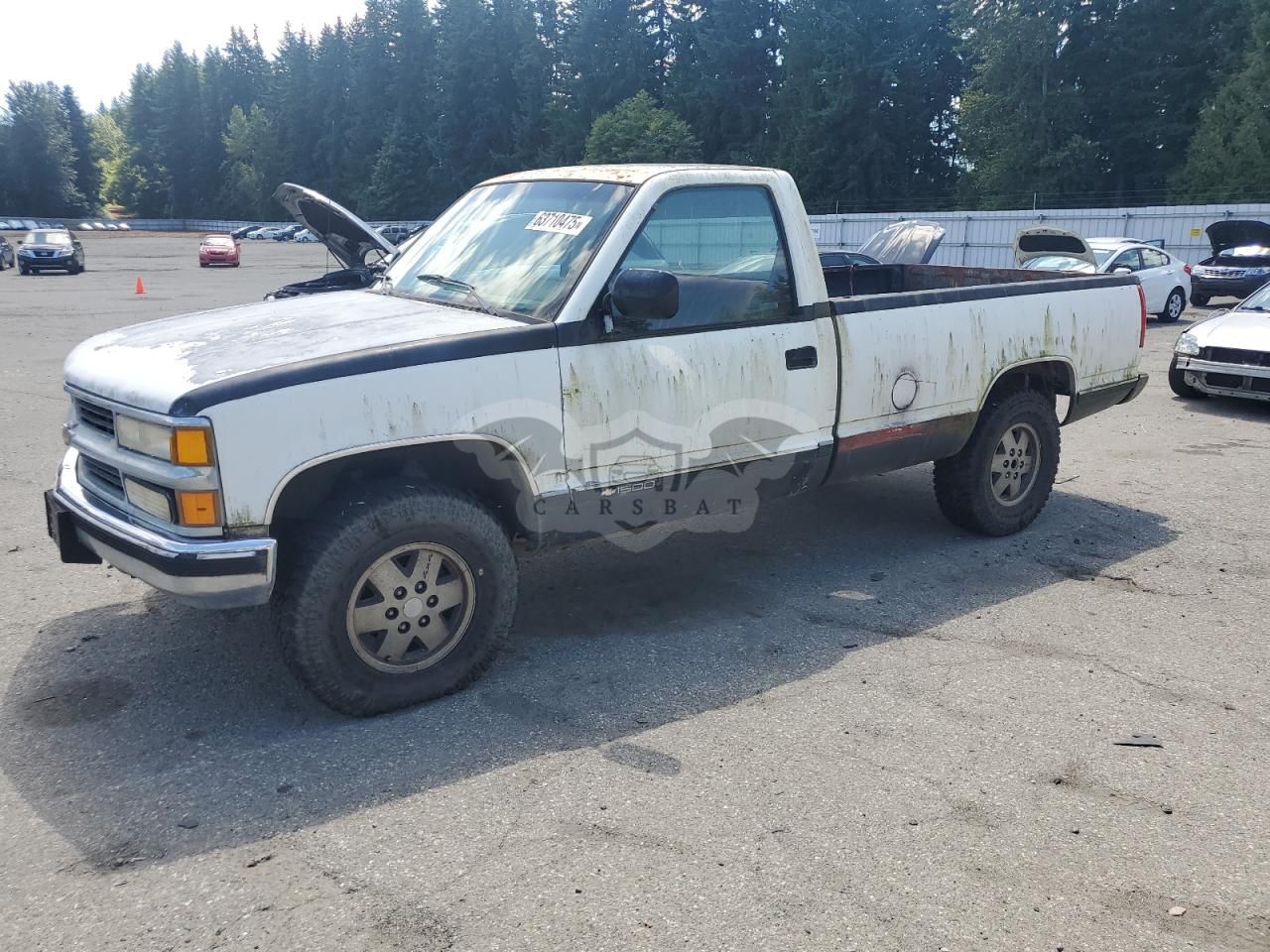 Chevrolet C/K 1500 K1500 5.0L 8 1988