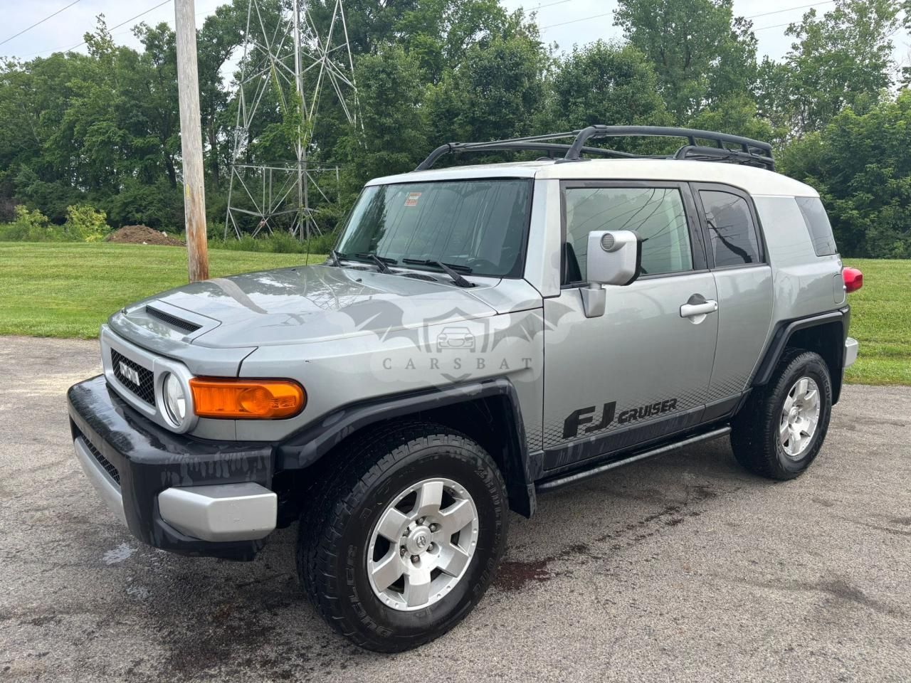 Toyota FJ Cruiser 4.0L 6 2010