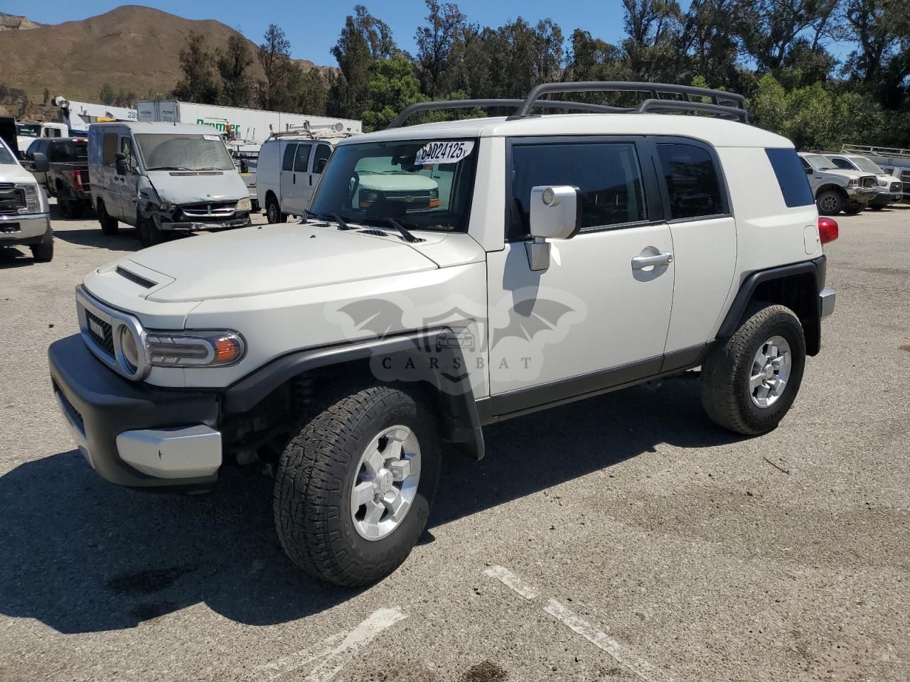 Toyota FJ Cruiser 4.0L 6 2010