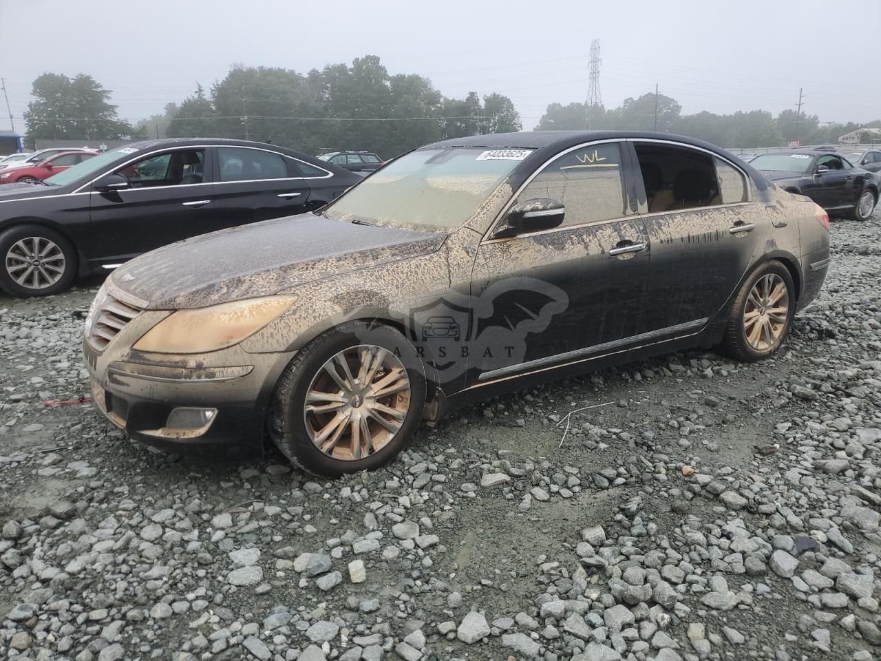 Hyundai Genesis 4.6L 4.6L 8 2011