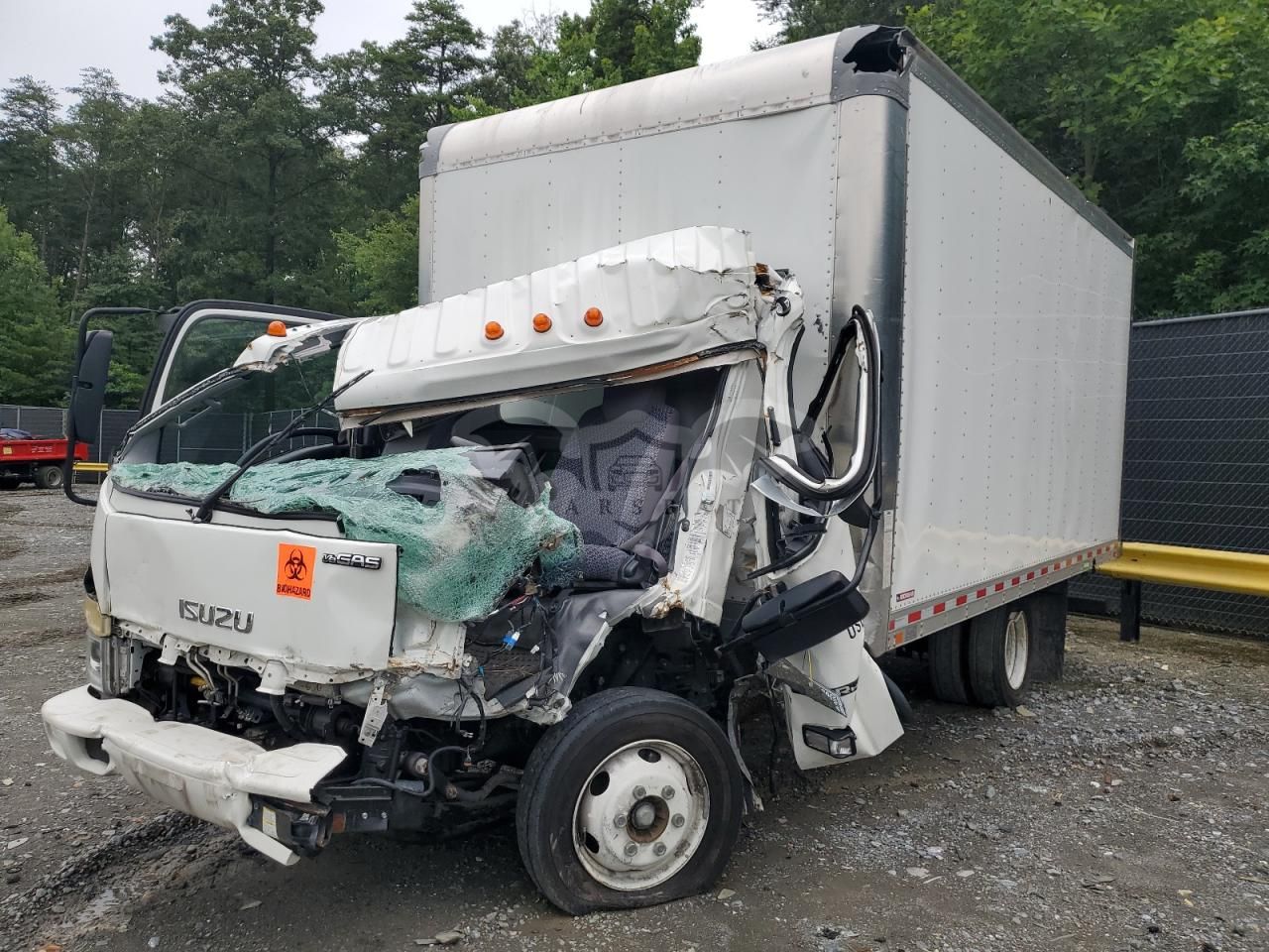 Isuzu NPR 6.6L 8 2023