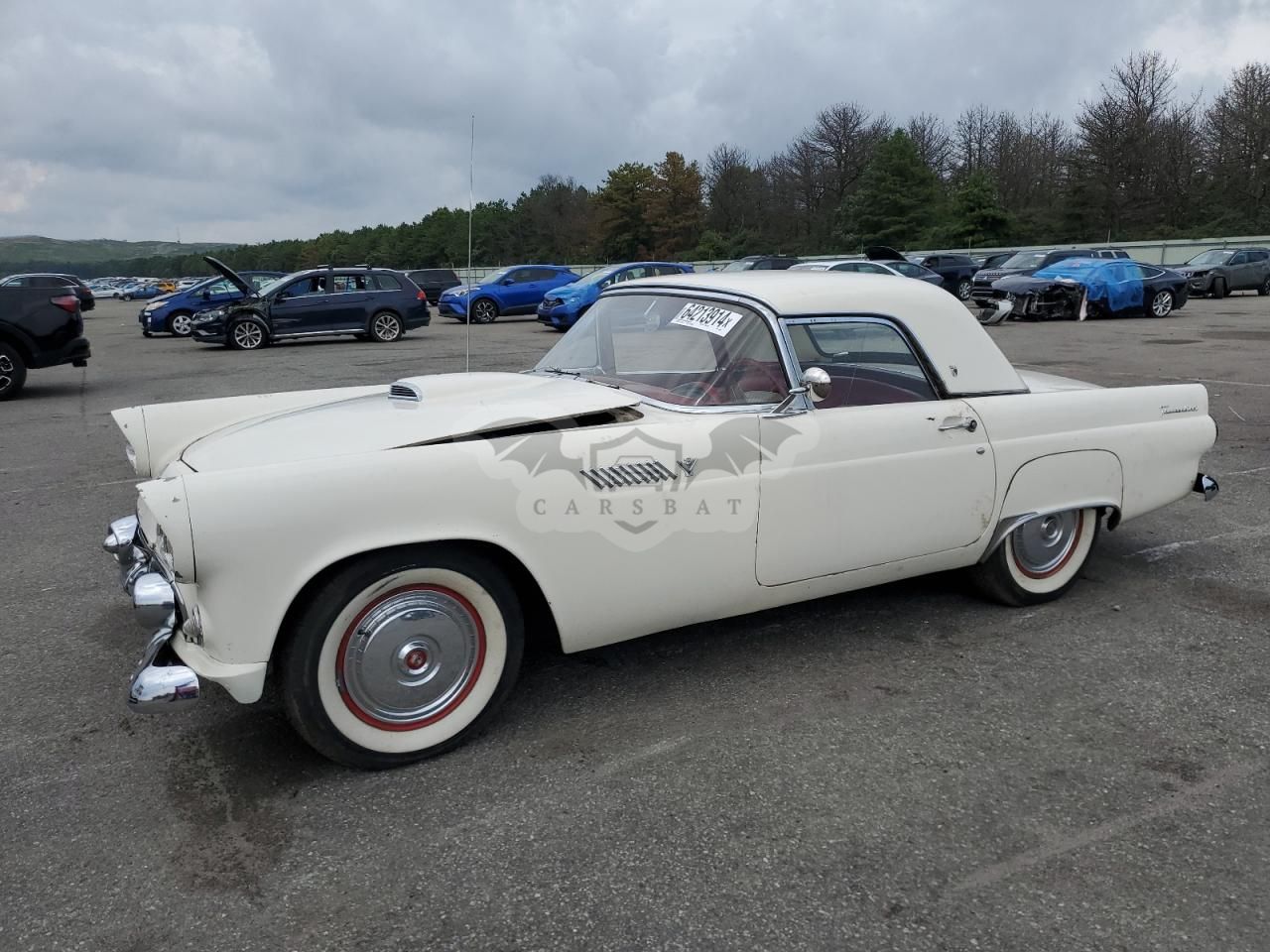 Ford Thunderbird 1955