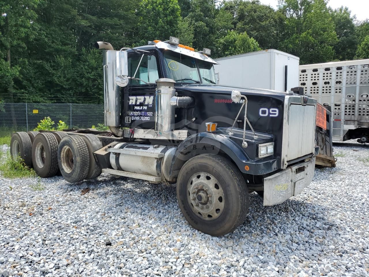 Western Star 4900 / 49X Series 4900 6 1996