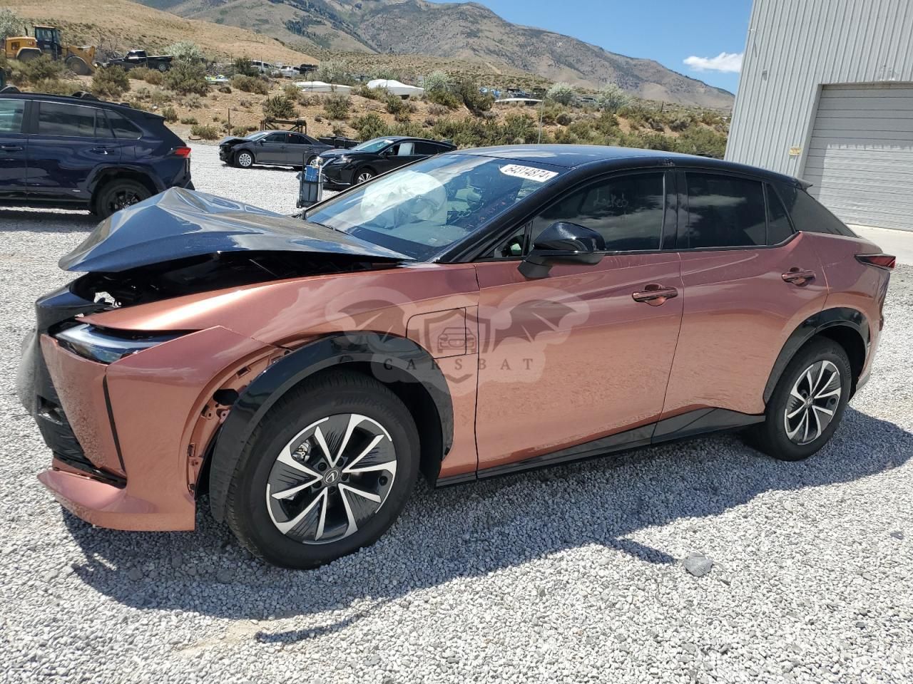 Lexus RZ 2024