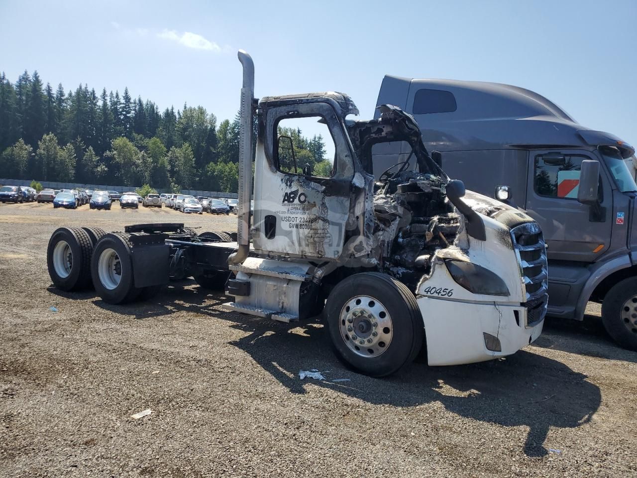 Freightliner Cascadia 12.8L 6 2025