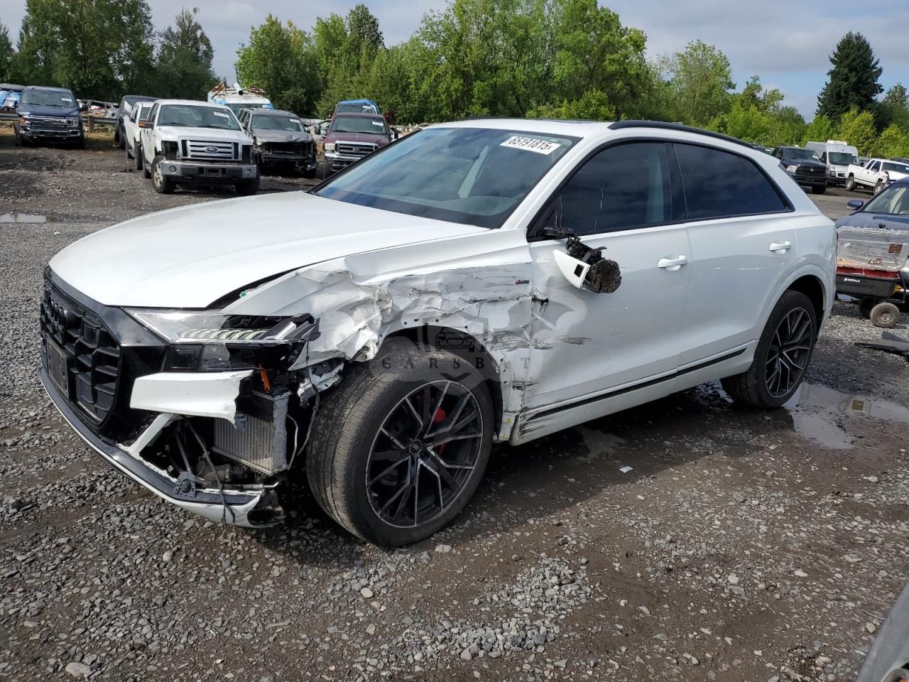 Audi Q8 PREMIUM PLUS S-LINE 3.0L 6 2023