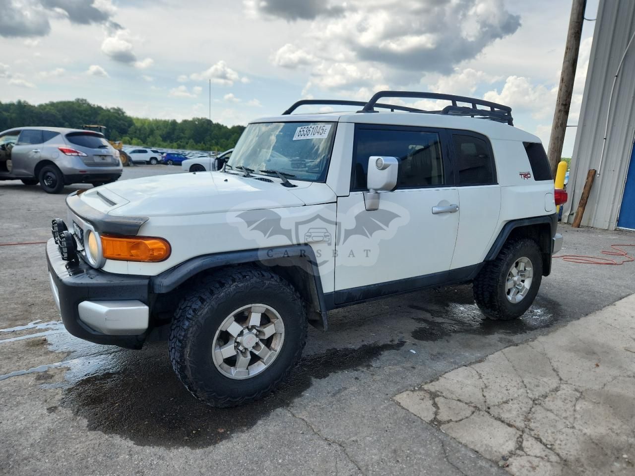 Toyota FJ Cruiser 4.0L 6 2010