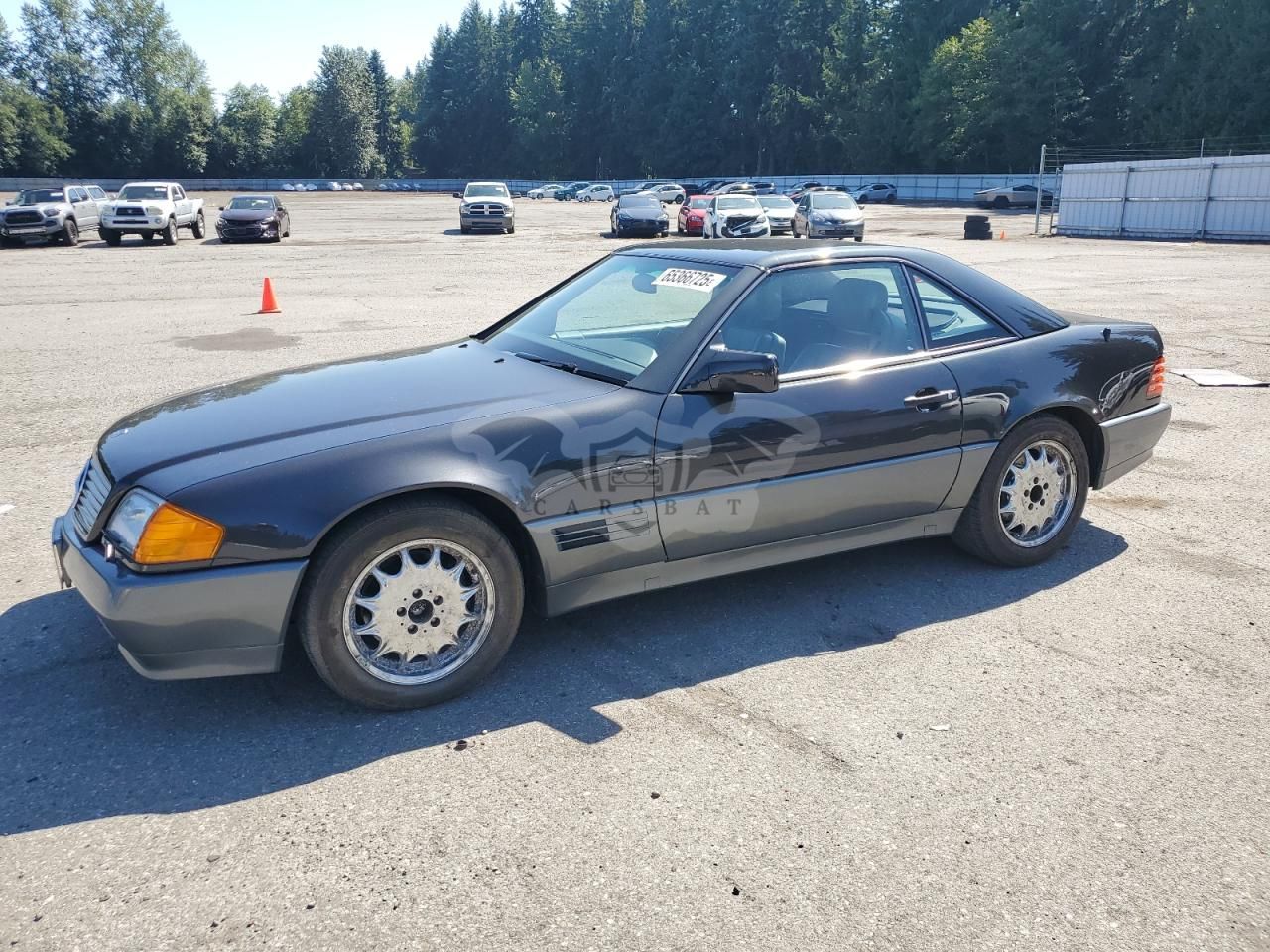 Mercedes-Benz SL 500 5.0L 8 1994