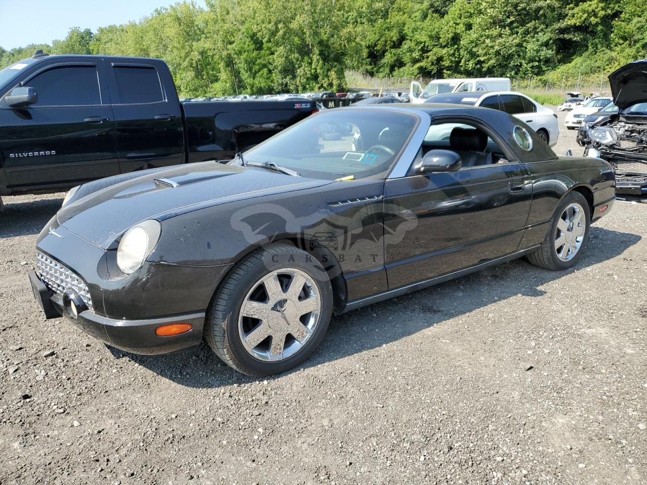 Ford Thunderbird 3.9L 8 2002