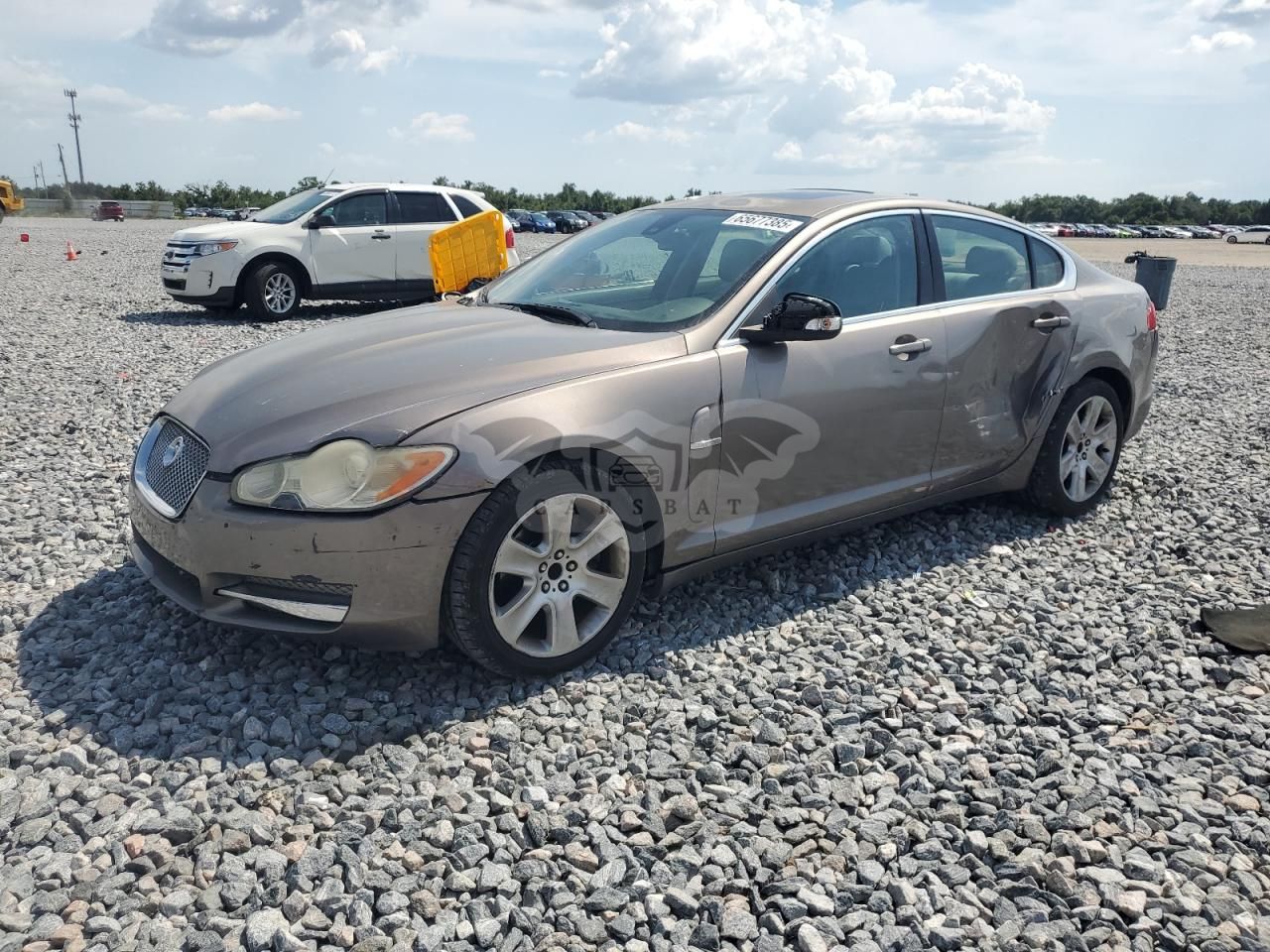 Jaguar XF LUXURY 4.2L 8 2009
