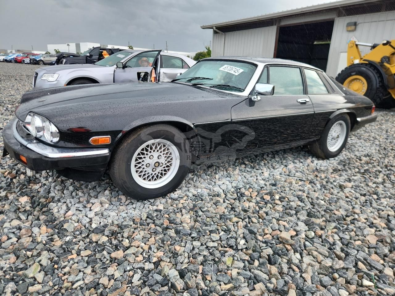 Jaguar XJS 5.3L 12 1989